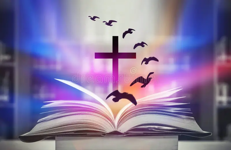Have you misread scripture..?