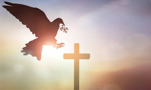 My friends…No repentance…No revival…